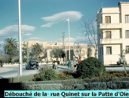 RUE QUINET SUR LA PATTE D OIE.jpg